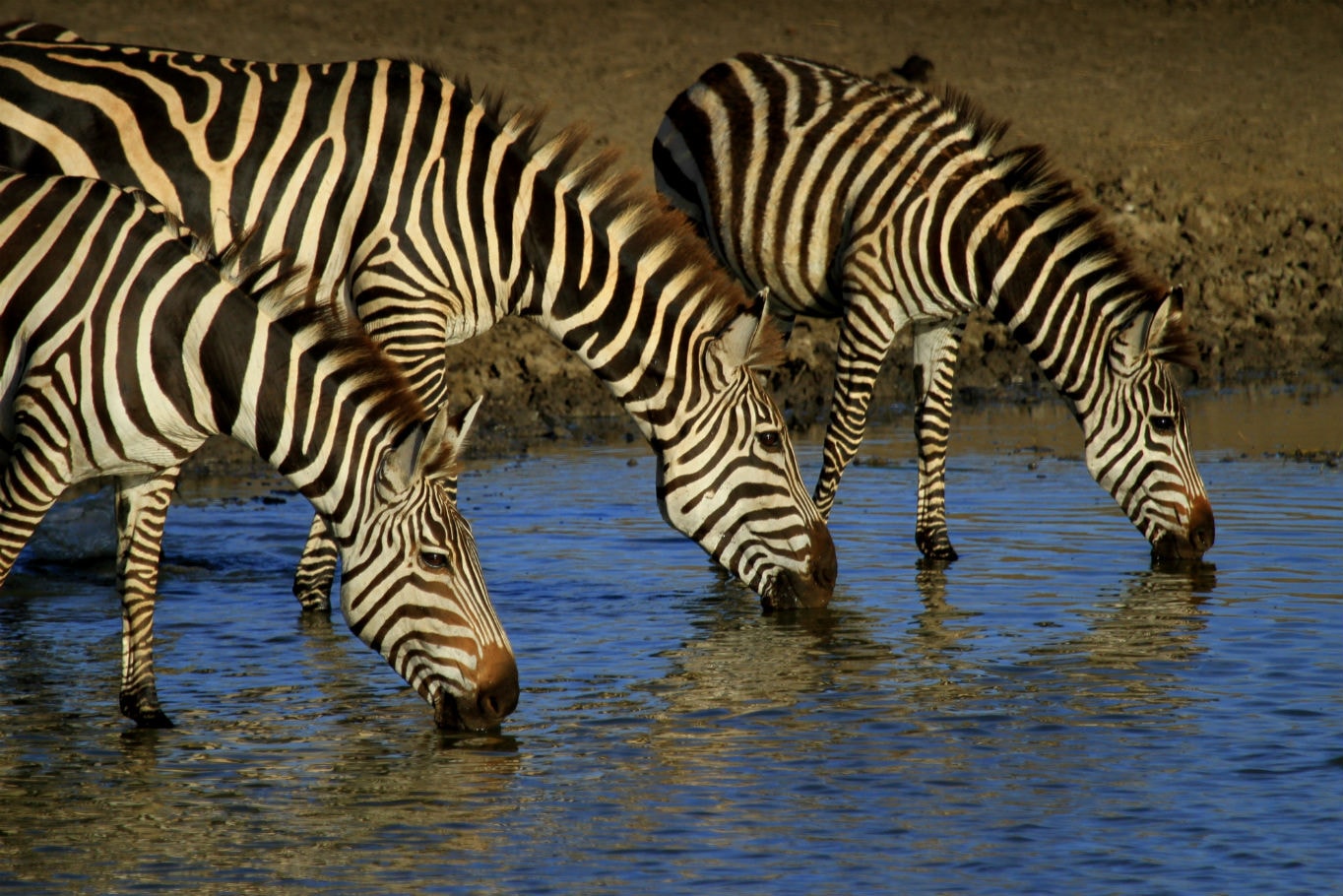 Tre byer du bør besøge i Tanzania